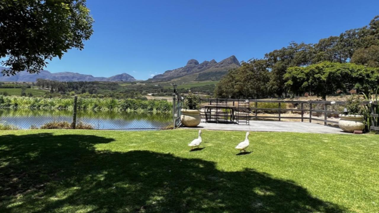 In The Vine Country Manor Guesthouse Stellenbosch Exterior photo